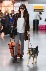 DAKOTA JOHNSON at JFK Airport