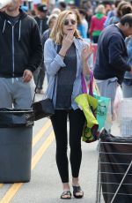 ELIZABETH OLSEN Shopping at Farmer
