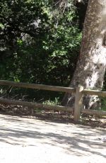 TAYLOR SWIFT in Shorts Out Hiking in Hollywood