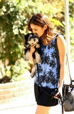 JAMIE CHUNG Out with Her Dog in Los Angeles