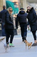 JENNIFER LAWRENCE Walks Her Dog Out in New York