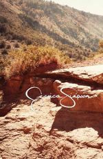 JESSICA SIMPSON - Jessica Simpson Spring/Summer 2015 Collection