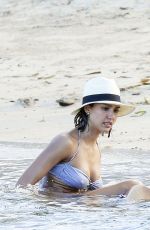 JESSUCA ALBA in Bikini at a Beach in Caribbean 2603