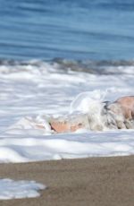 KAT TORRES - 138 Water Photoshoot in Malibu 1303