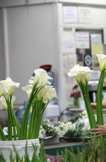 KIMBERLEY GARNER Buy Some Flower in Los Angeles