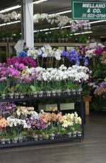 KIMBERLEY GARNER Buy Some Flower in Los Angeles