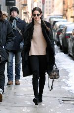 LILY ALDRIDGE Out and About in New York 0203