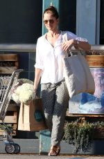 MINKA KELLY Out for Grocery Shopping in West Hollywood 0503