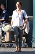 MINKA KELLY Out for Grocery Shopping in West Hollywood 0503