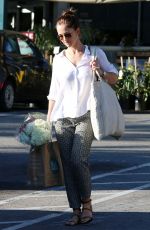MINKA KELLY Out for Grocery Shopping in West Hollywood 0503