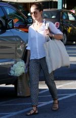 MINKA KELLY Out for Grocery Shopping in West Hollywood 0503