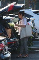 MINKA KELLY Out for Grocery Shopping in West Hollywood 0503