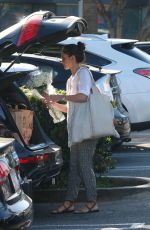 MINKA KELLY Out for Grocery Shopping in West Hollywood 0503