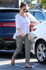 MINKA KELLY Out for Grocery Shopping in West Hollywood 0503