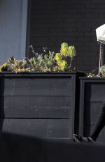 SCARLETT JOHANSSON Leaves Stamp Proper Foods in Los Feliz 1903