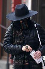 VANESSA and STELLA HUDGENS Out and About in New York 1803