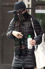 VANESSA and STELLA HUDGENS Out and About in New York 1803