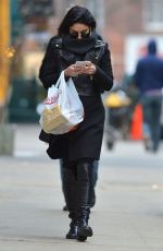 VANESSA HUDGENS Out Shopping in New York 1503