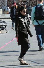 VANESSA HUDGENS Out with Her Dog in New York 1303