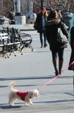 VANESSA HUDGENS Out with Her Dog in New York 1303
