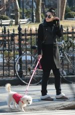 VANESSA HUDGENS Out with Her Dog in New York 1303