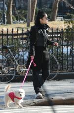 VANESSA HUDGENS Out with Her Dog in New York 1303
