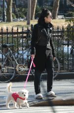 VANESSA HUDGENS Out with Her Dog in New York 1303