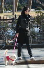 VANESSA HUDGENS Out with Her Dog in New York 1303