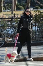 VANESSA HUDGENS Out with Her Dog in New York 1303