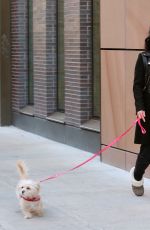 VANESSA HUDGENS Out with Her Dog in New York 1303