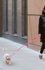VANESSA HUDGENS Out with Her Dog in New York 1303