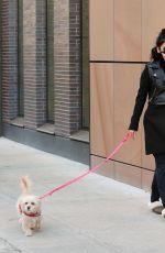 VANESSA HUDGENS Out with Her Dog in New York 1303