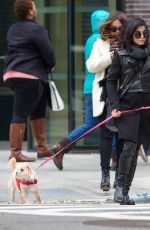 VANESSA HUDGENS Playing with Her Dog in New York