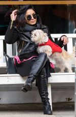 VANESSA HUDGENS Playing with Her Dog in New York