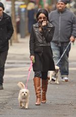 VANESSA HUDGENS Walks Her Dog Out in New York