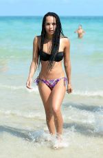 ZOE KRAVITZ in Bikini on the Beach in Miami 0603