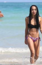 ZOE KRAVITZ in Bikini on the Beach in Miami 0603