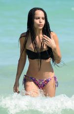 ZOE KRAVITZ in Bikini on the Beach in Miami 0603