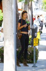 ALESSANDRA AMBROSIO Out and About in Beverly Hills