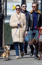 ANNE HATHAWAY Walks Her Dogs Out in New York