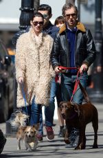 ANNE HATHAWAY Walks Her Dogs Out in New York