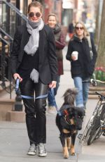 BROOKE SHIELDS Wlaks Her Dog Out in New York