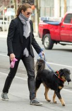 BROOKE SHIELDS Wlaks Her Dog Out in New York