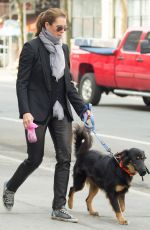 BROOKE SHIELDS Wlaks Her Dog Out in New York