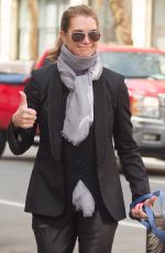 BROOKE SHIELDS Wlaks Her Dog Out in New York