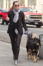 BROOKE SHIELDS Wlaks Her Dog Out in New York