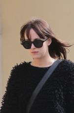 DAKOTA JOHNSON in Jeans Shorts Out in New York