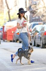 DAKOTA JOHNSON in Ripped Jeans Walks Her Dog in New York