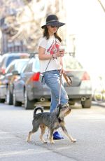 DAKOTA JOHNSON in Ripped Jeans Walks Her Dog in New York
