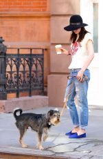 DAKOTA JOHNSON in Ripped Jeans Walks Her Dog in New York